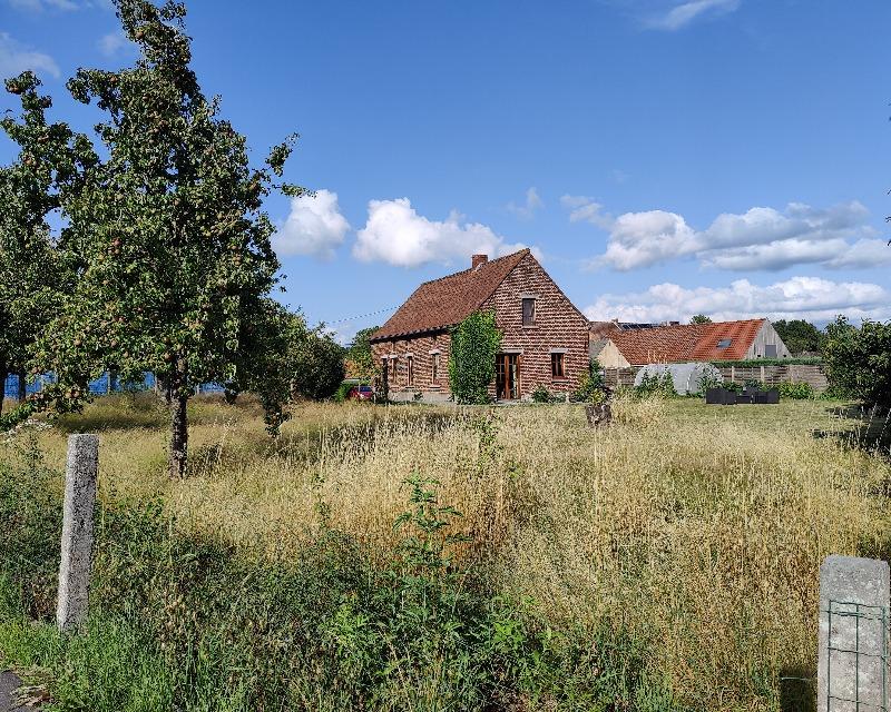 Milieux ligneux
