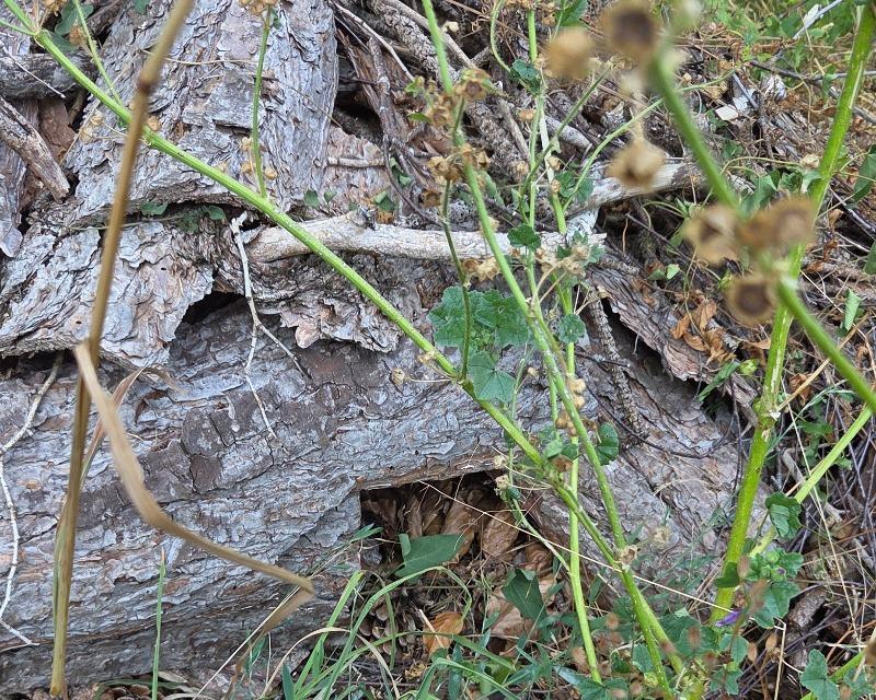 Accueil de la faune