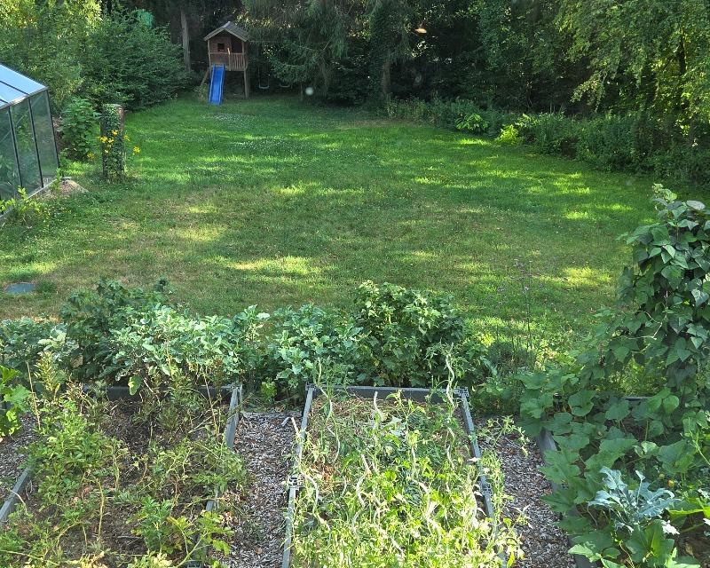 20260728_162539_nat-rn-terrain-1058_photo_17852558924257616823454752360009.jpg