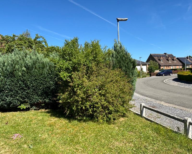 Milieux ligneux