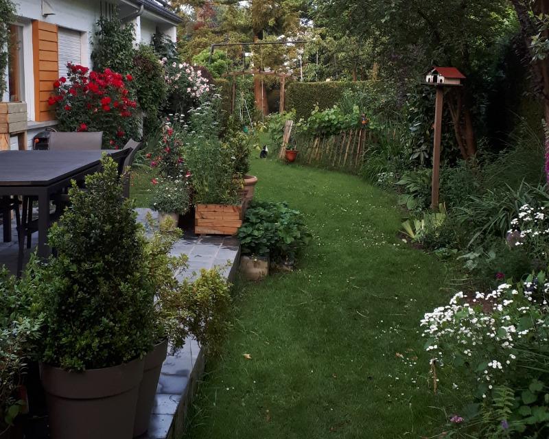 Milieux herbacés