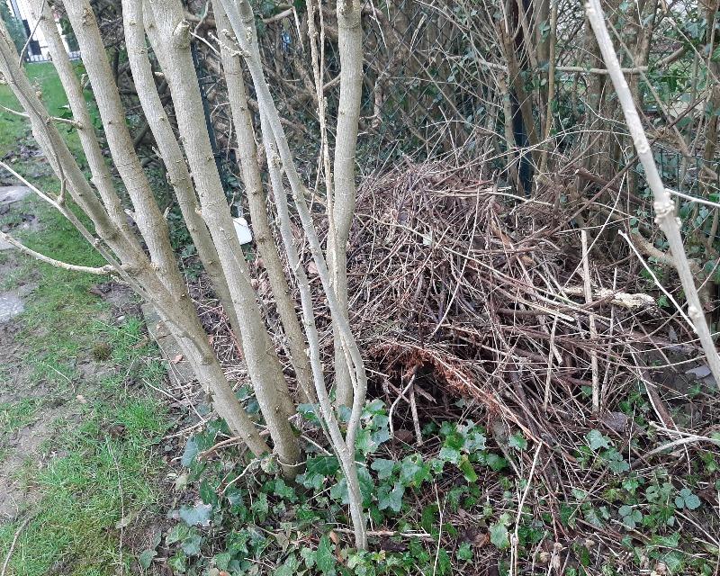 Accueil de la faune