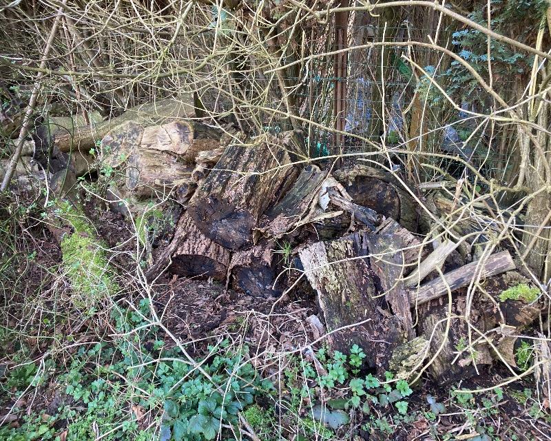 Accueil de la faune
