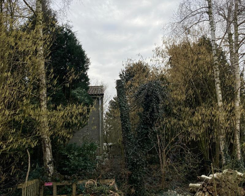 Milieux ligneux