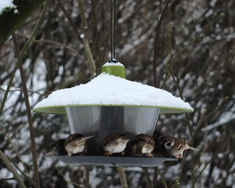 Accueil de la faune