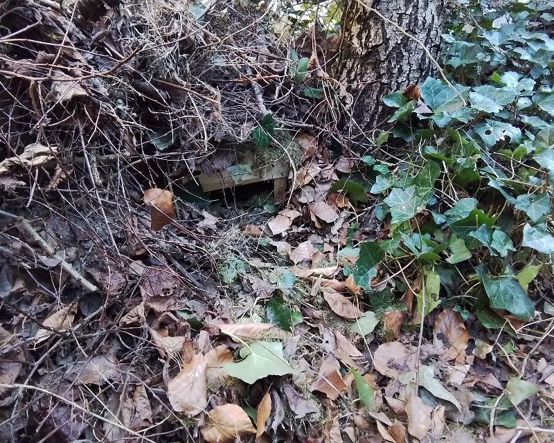 Accueil de la faune