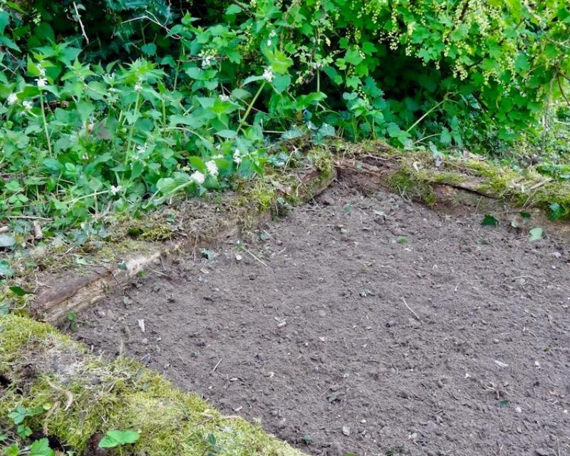 Accueil de la faune