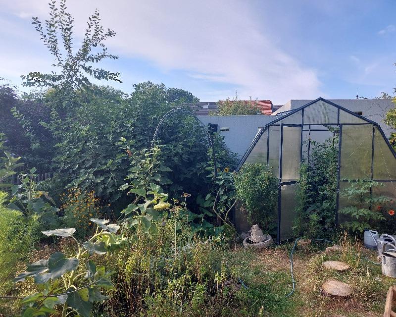 20260826_071256_nat-rn-terrain-521_photo_20260825_182940.jpg