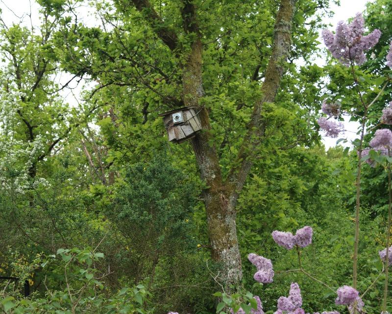 Accueil de la faune