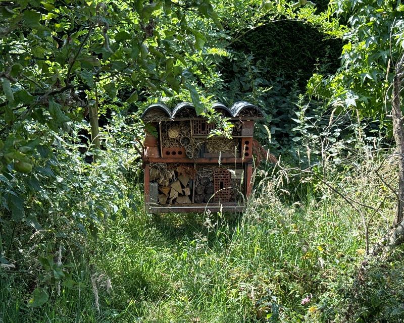 Accueil de la faune