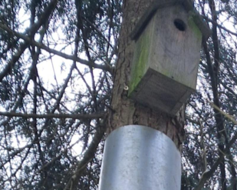Accueil de la faune